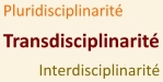 Transdisciplinarité